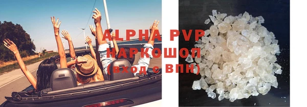 СК Белокуриха