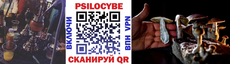 ссылка на мегу как зайти  Озёры  Псилоцибиновые грибы Psilocybe 