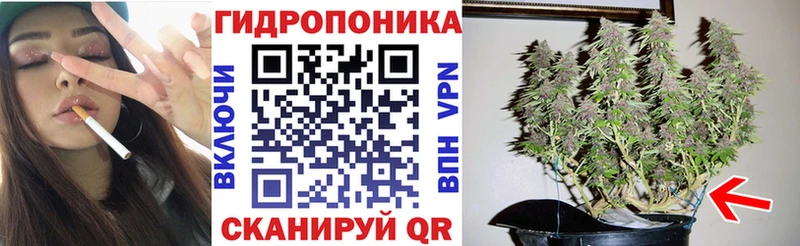 Шишки марихуана план  Озёры 